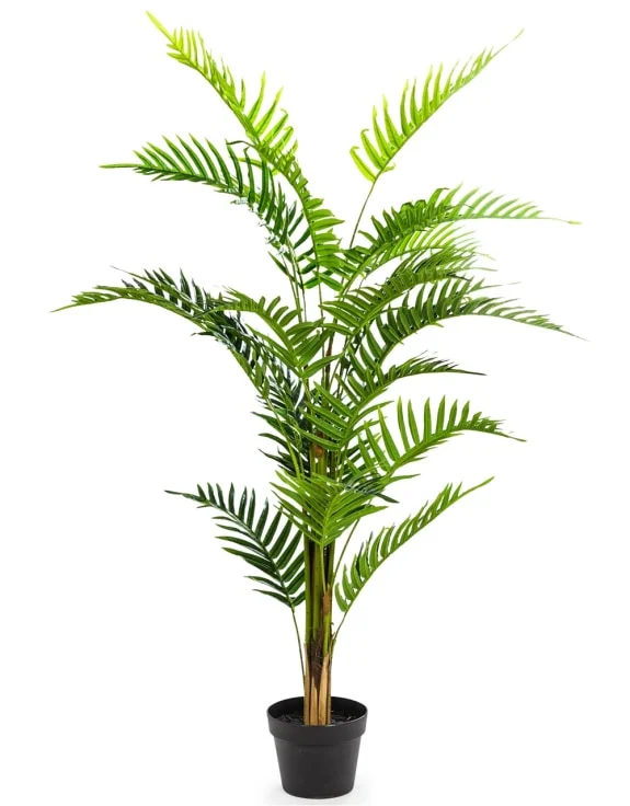 Commercial - grade track lighting for storesTrack lighting for creating a moody atmosphereOrnamental Fern Tree In Black Pot