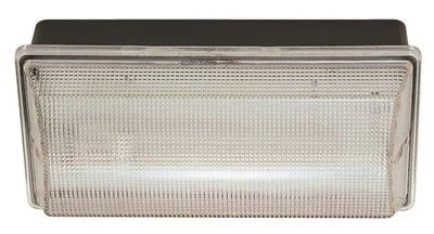 Track lighting for enhancing the architectureTrack lighting with a decorative track designImpact Resistant Wall Pack Black With Clear Lens 5-1/2 X 11-1/2 X 4 Inch Uses (1) 13-Watt 4100K Fluorescent Gx23 Base Lamp Track lighting for enhancing the architectureTrack lighting with a decorative track designImpact Resistant Wall Pack Black With Clear Lens 5-1/2 X 11-1/2 X 4 Inch Uses (1) 13-Watt 4100K Fluorescent Gx23 Base Lamp