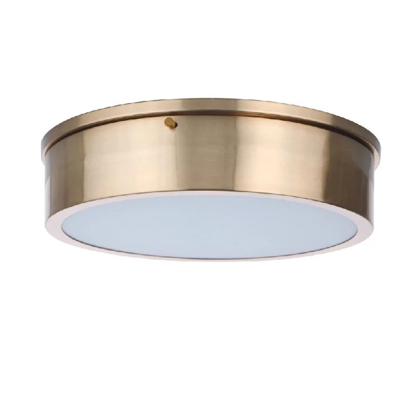 Industrial Lighting for Pharmaceutical ManufacturingFenn 1 Light 13" LED Flushmount in Satin Brass Industrial Lighting for Pharmaceutical ManufacturingFenn 1 Light 13" LED Flushmount in Satin Brass